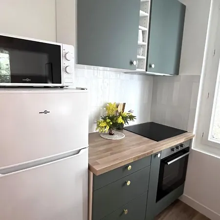 Appartement Cocon Renove Avec Mezzanine Au Coeur De *